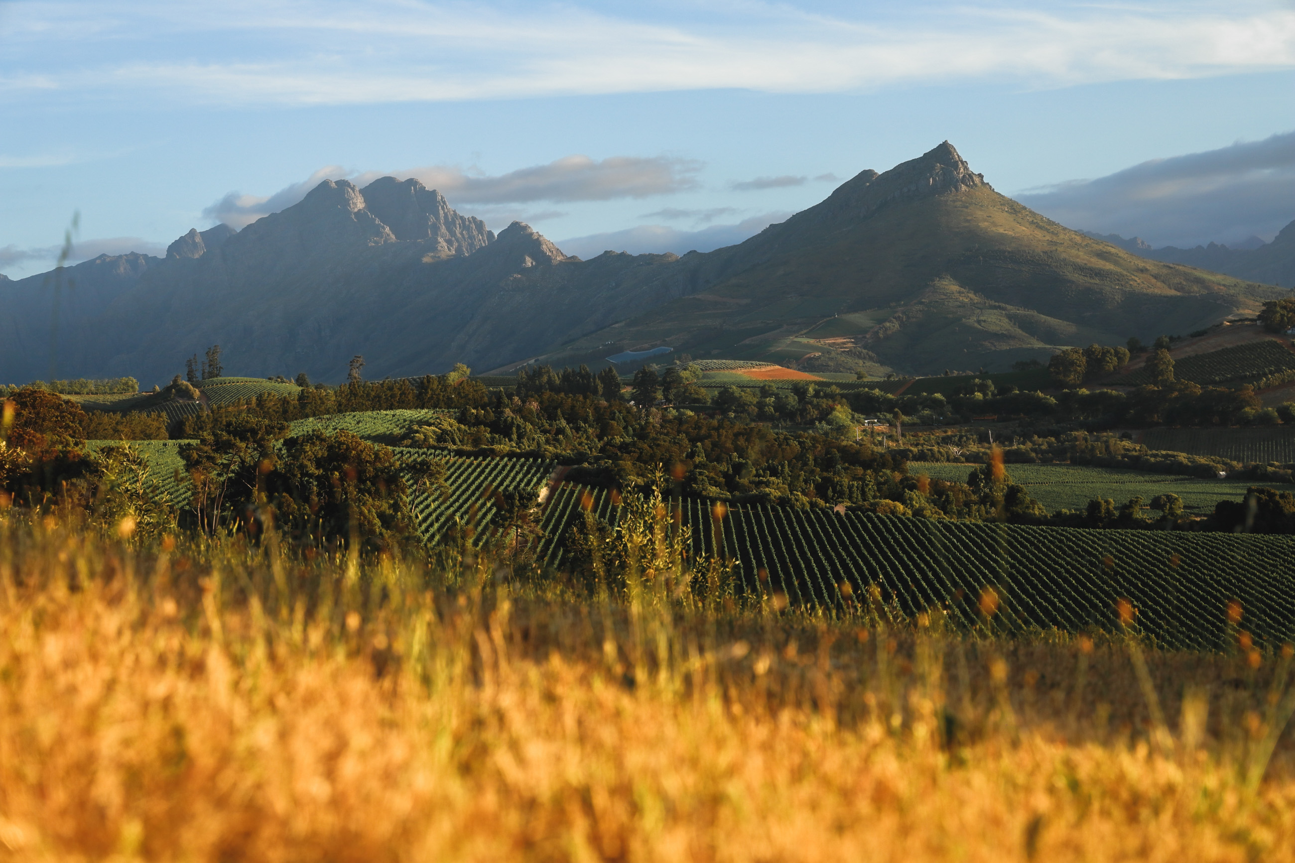 Canon EOS RP Imagefoto